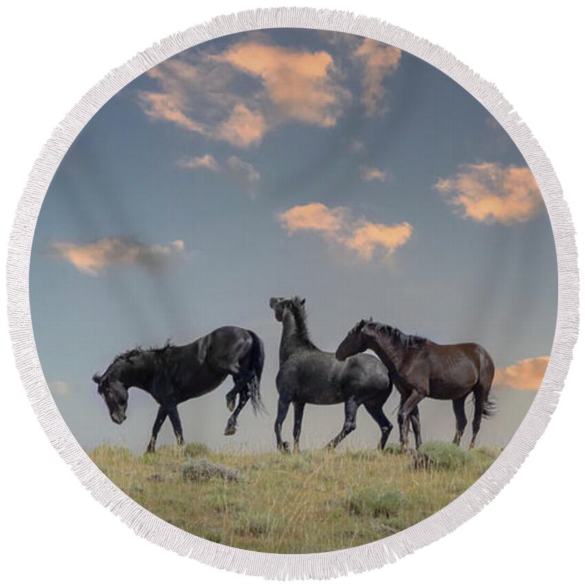Horse Round Beach Towel featuring the photograph Wild Horses #29 by Laura Terriere