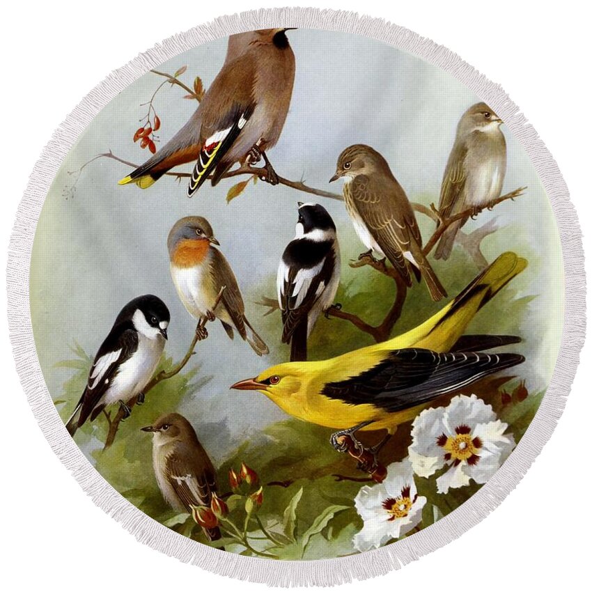 Birds Round Beach Towel featuring the mixed media Birds By Archibald Thorburn by Archibald Thorburn