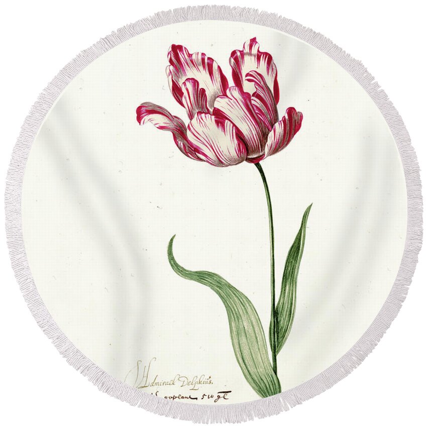 Poster Round Beach Towel featuring the painting Great Tulip Book #3 by MotionAge Designs