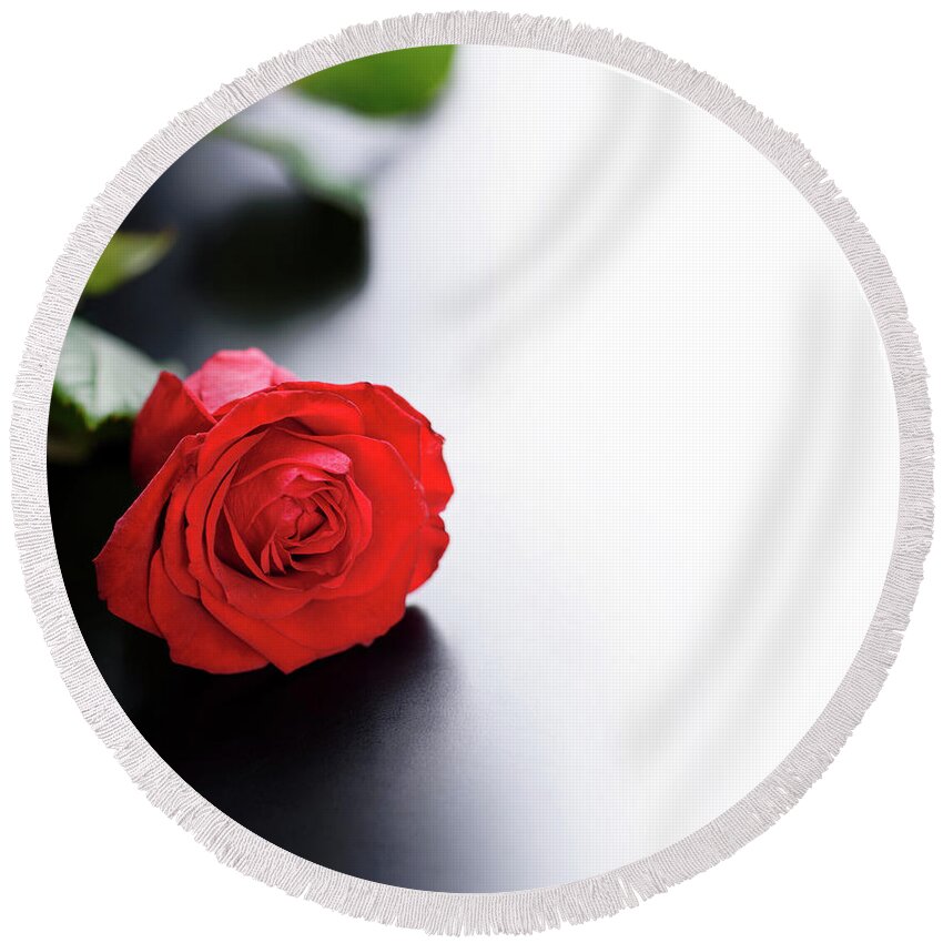 Roses Round Beach Towel featuring the photograph Red Rose on black and white background by Jelena Jovanovic