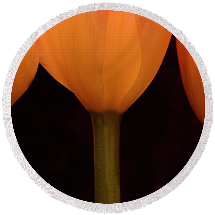 Macro Round Beach Towel featuring the photograph 3 Tulips by Julie Powell