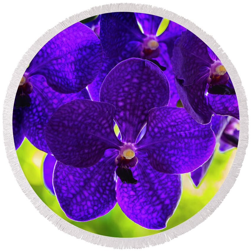 Background Round Beach Towel featuring the photograph Purple Orchid Flowers #34 by Raul Rodriguez