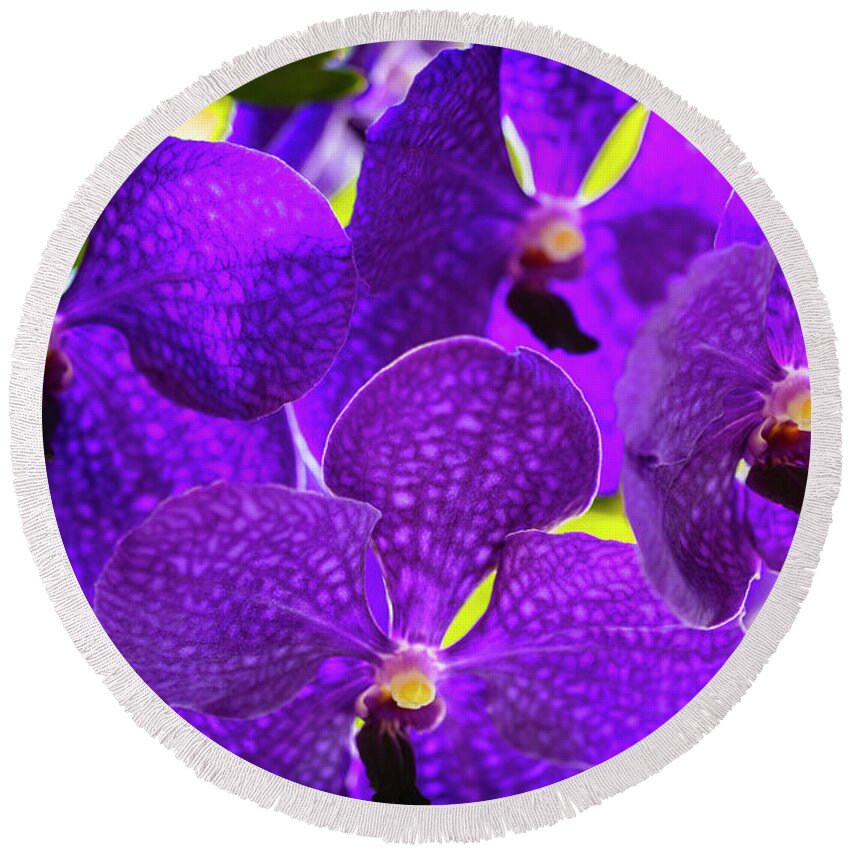 Background Round Beach Towel featuring the photograph Purple Orchid Flowers #35 by Raul Rodriguez