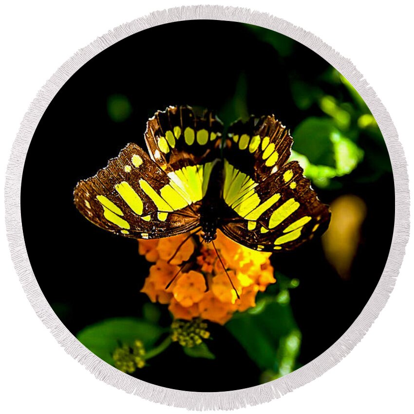 Malachite Butterfly Round Beach Towel featuring the digital art Malachite Butterfly #4 by Tammy Keyes