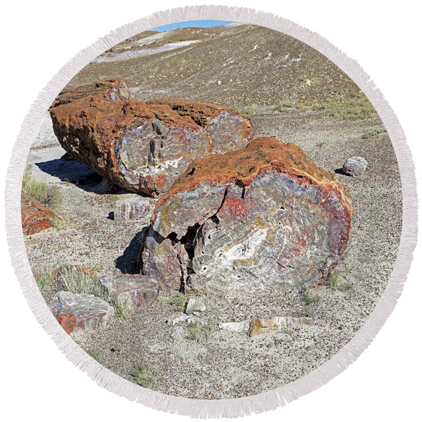 Petrified Forest National Park Round Beach Towel featuring the photograph Petrified Logs - Petrified Forest National Park by Richard Krebs