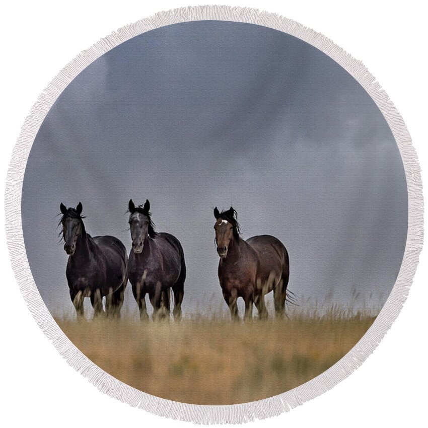 Horse Round Beach Towel featuring the photograph Wild Horses #4 by Laura Terriere