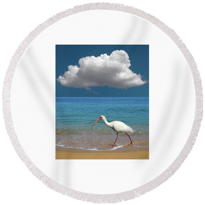 Animal Round Beach Towel featuring the photograph 4960 by Peter Holme III