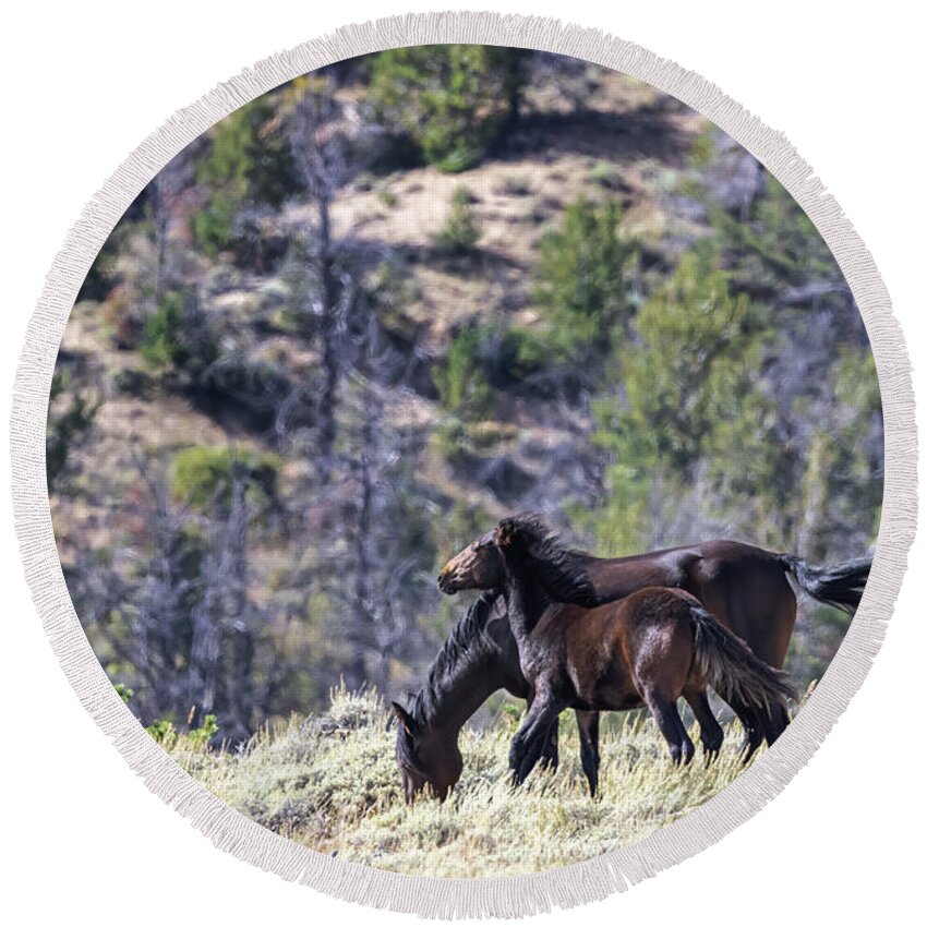 Horse Round Beach Towel featuring the photograph Wild Horses #6 by Laura Terriere