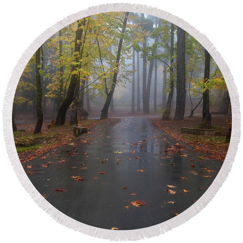 Autumn Round Beach Towel featuring the photograph Autumn landscape with trees and Autumn leaves on the ground after rain by Michalakis Ppalis