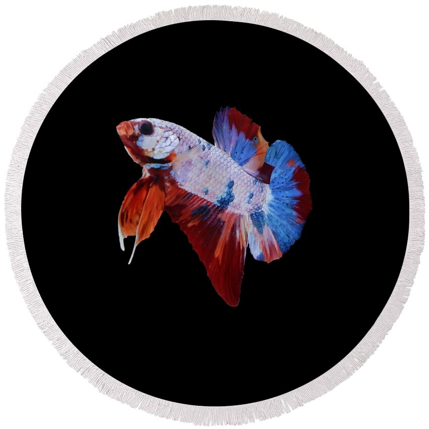 Betta Round Beach Towel featuring the photograph Multicolor Betta Fish by Sambel Pedes