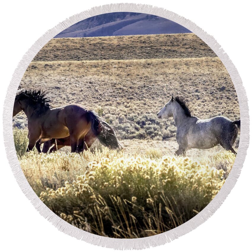 Horse Round Beach Towel featuring the photograph Wild Horses #9 by Laura Terriere