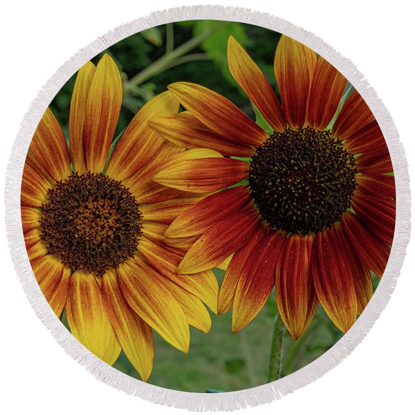 Sunflower Round Beach Towel featuring the photograph A Beautiful Couple by Linda Howes