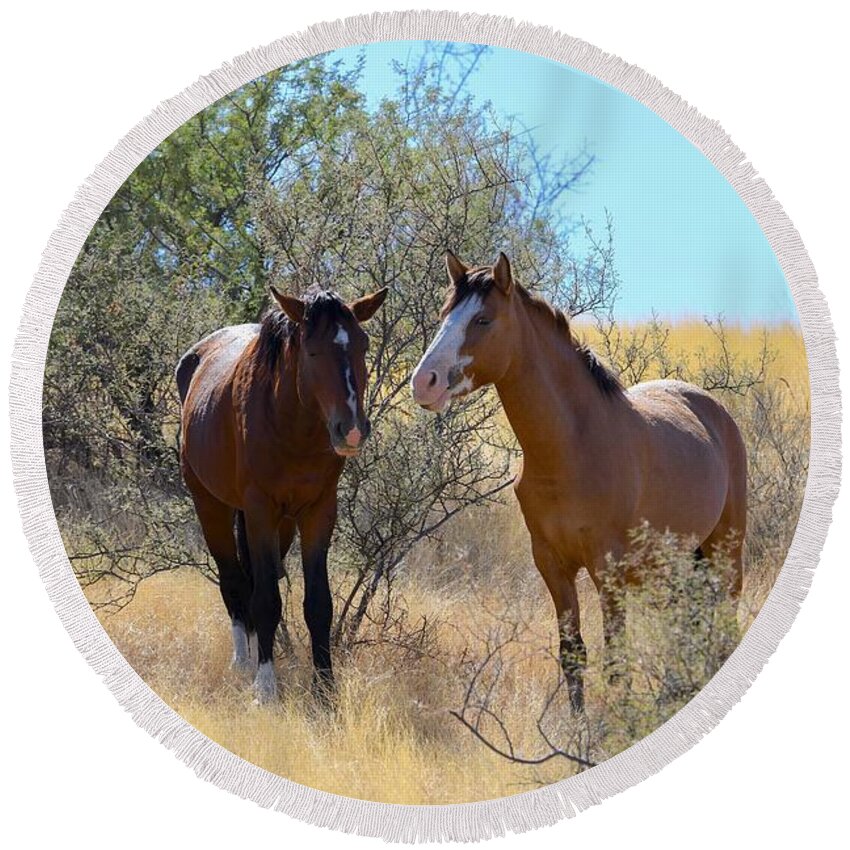 Salt River Wild Horses Round Beach Towel featuring the digital art A beautiful Morning Sight by Tammy Keyes