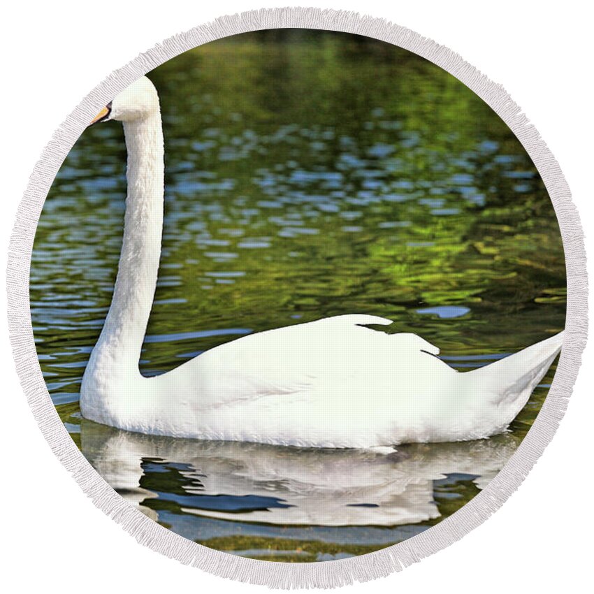 Beautiful Round Beach Towel featuring the photograph A beautiful swan by Constantinos Iliopoulos