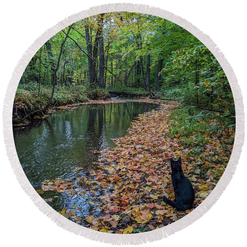 Black Cat Round Beach Towel featuring the photograph A Bit of Magic in the Woods by Kimberly Mackowski