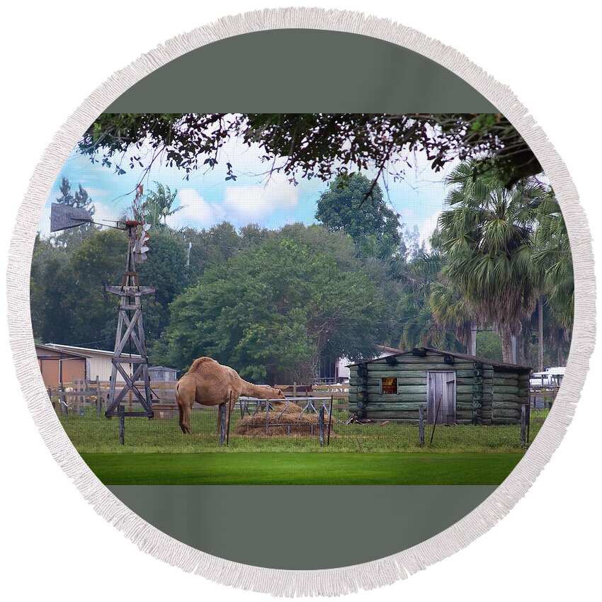 Camel Round Beach Towel featuring the photograph A Camel, A Windmill, And A Log Cabin by Mark Andrew Thomas