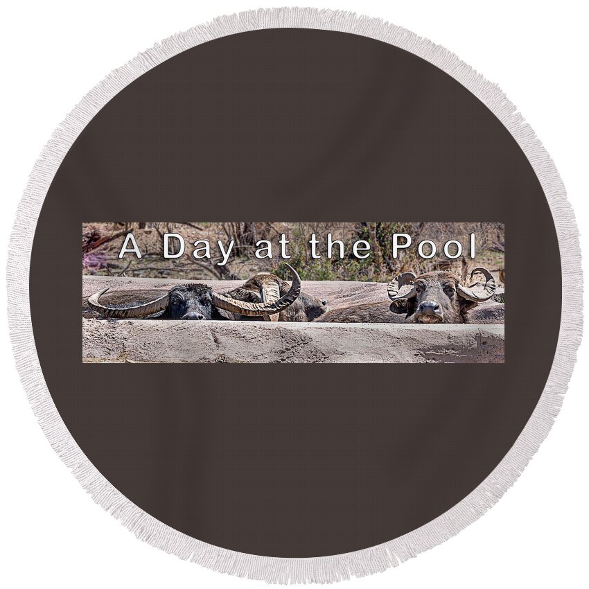  Round Beach Towel featuring the photograph A Day at the Pool by Al Judge