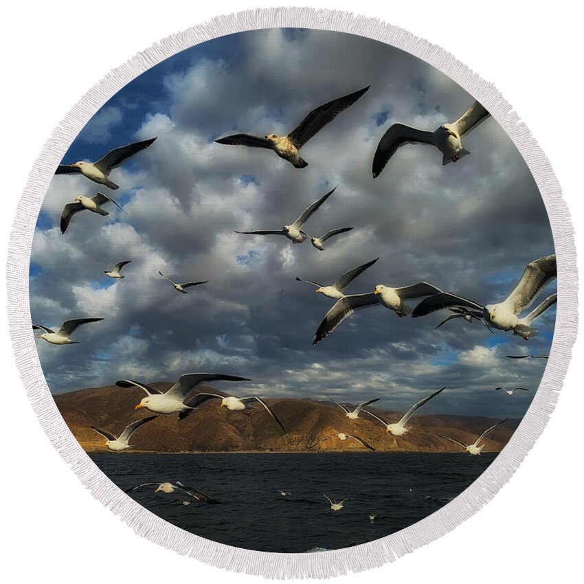 Photo Round Beach Towel featuring the photograph A Flock of Seagulls by John A Rodriguez