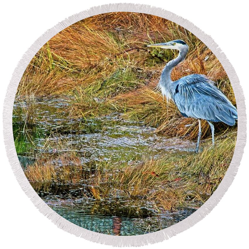 Heron Round Beach Towel featuring the photograph A Great Blue by Chuck Burdick