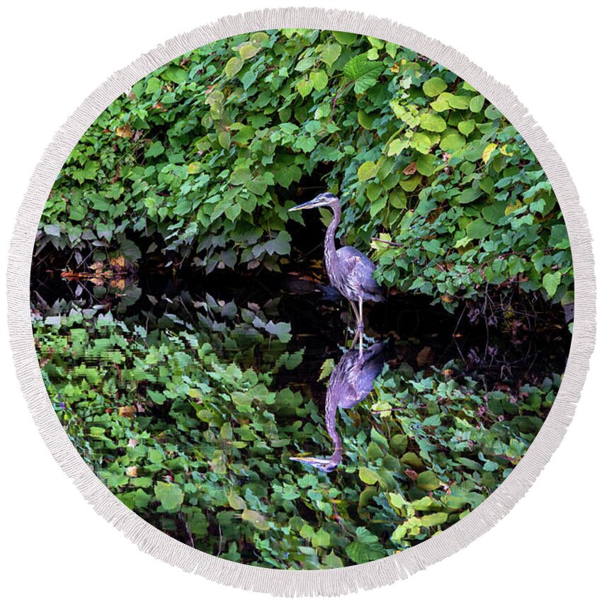 Bronx River Round Beach Towel featuring the photograph A Great Blue Heron and Its Refection by Kevin Suttlehan