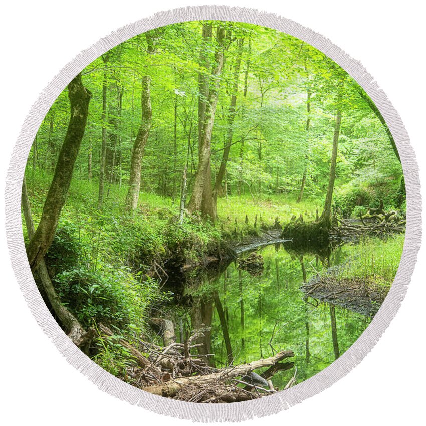 Croatan National Forest Round Beach Towel featuring the photograph A Green Spring View in the Forest by Bob Decker
