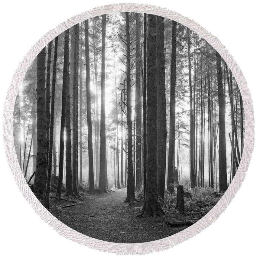 Landscape Round Beach Towel featuring the photograph A Path Through The Old Growth Black and White by Allan Van Gasbeck