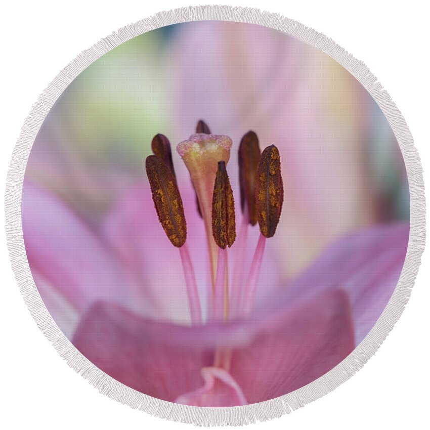 Plant Round Beach Towel featuring the photograph A Pink Lily of Springtime by Nancy Gleason