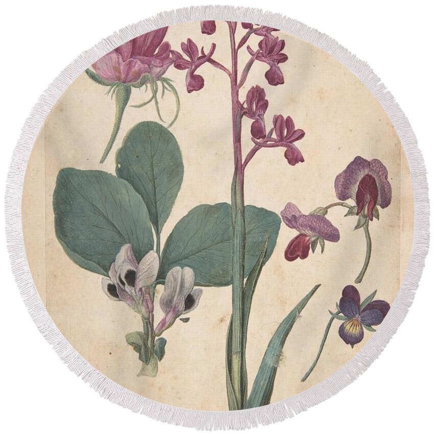  Round Beach Towel featuring the drawing A Sheet of Studies of Flowers A Rose a Heartsease a Sweet Pea a Garden Pea and a Laxflowered Orchid by Jacques Le Moyne de Morgues French