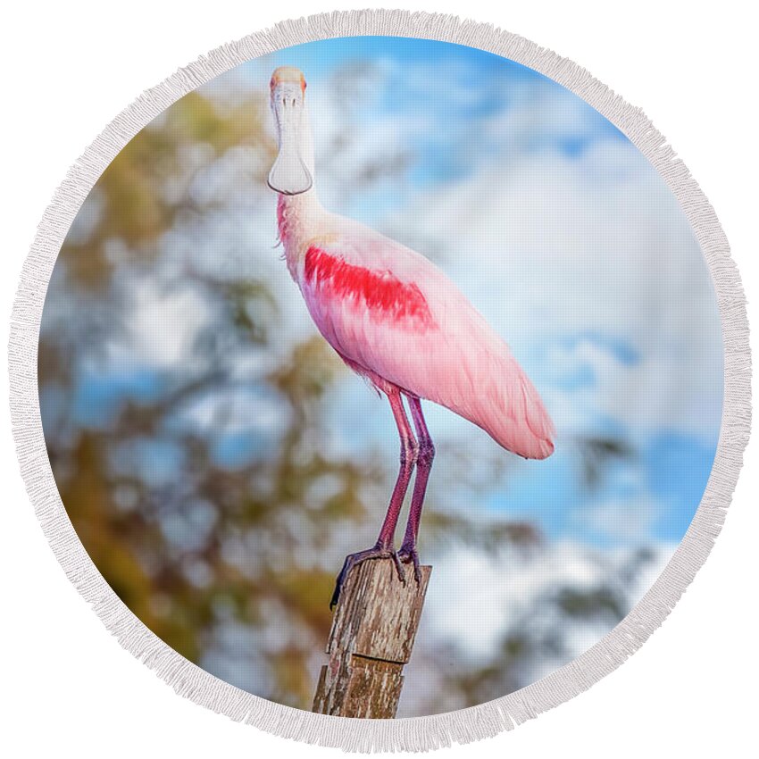 Spoonbill Round Beach Towel featuring the photograph A Spoonbill Afternoon by Mark Andrew Thomas