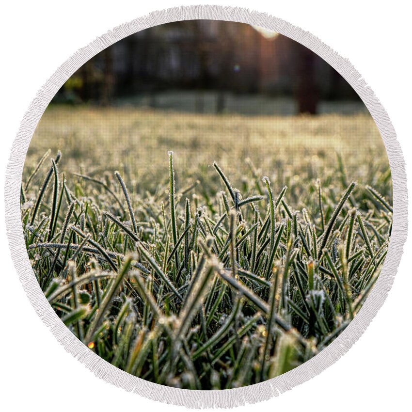 Environment Round Beach Towel featuring the photograph Stem of grass are covering snow. by Vaclav Sonnek