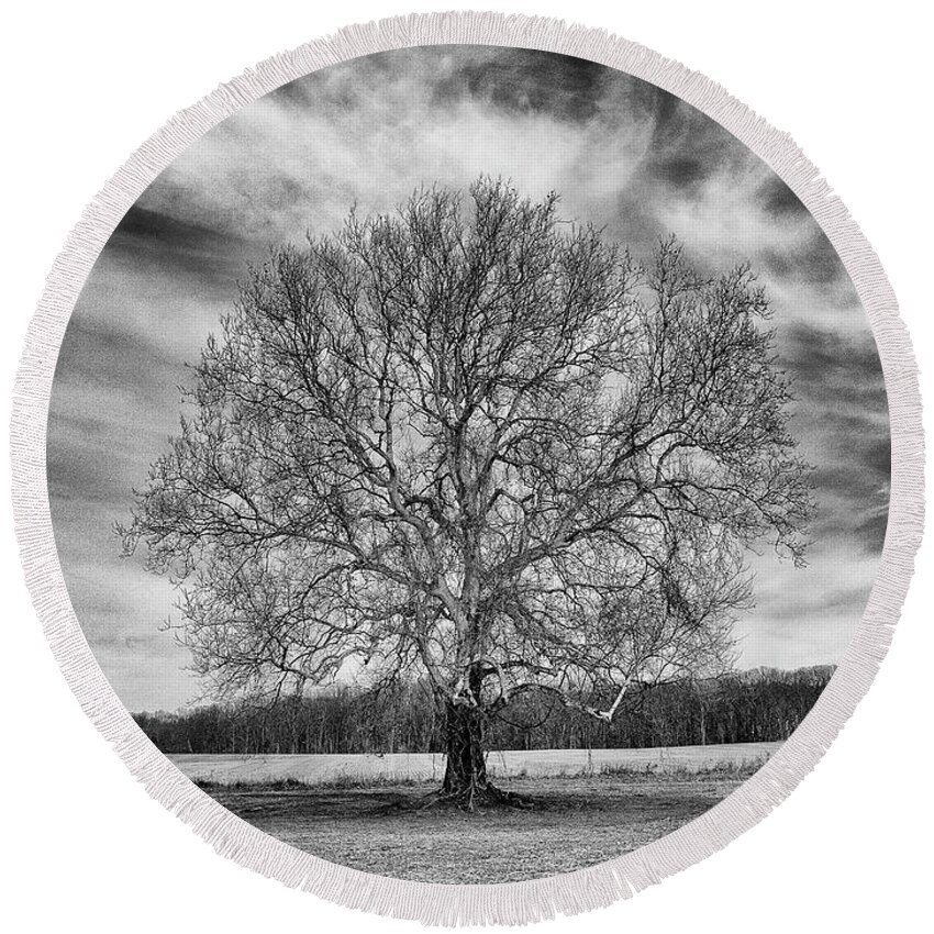  Tree Round Beach Towel featuring the photograph A Tree in Winter in Black and White by William Jobes