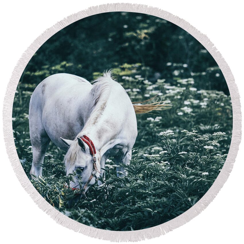 Horse Round Beach Towel featuring the photograph A white horse grazes on a meadow II by Dimitar Hristov