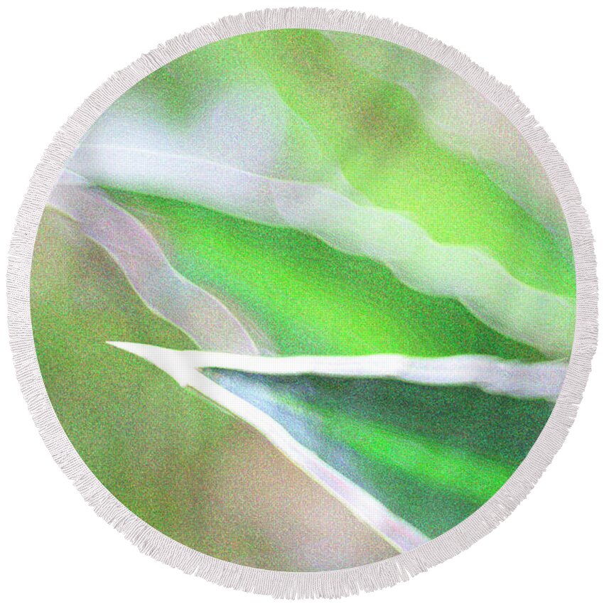 Plant Round Beach Towel featuring the digital art Abstract Green by Kathy Paynter