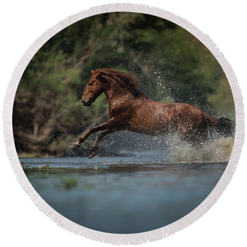 Stallion Round Beach Towel featuring the photograph Action by Shannon Hastings