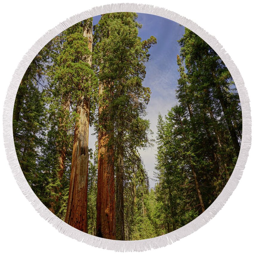 Giant Sequoia Trees Round Beach Towel featuring the photograph Grant Gove Trail by Brett Harvey