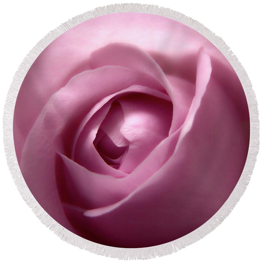 Pink Round Beach Towel featuring the photograph Adorable Soft Pink Rose Macro Photo by Johanna Hurmerinta
