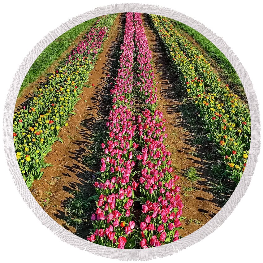 Tulip Round Beach Towel featuring the photograph Aerial Rows Of Tulips by Susan Candelario