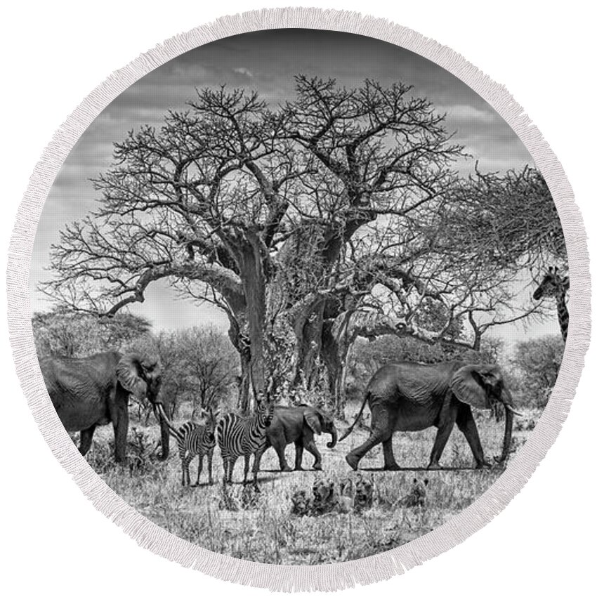 Africa Round Beach Towel featuring the photograph African Wildlife by Lev Kaytsner