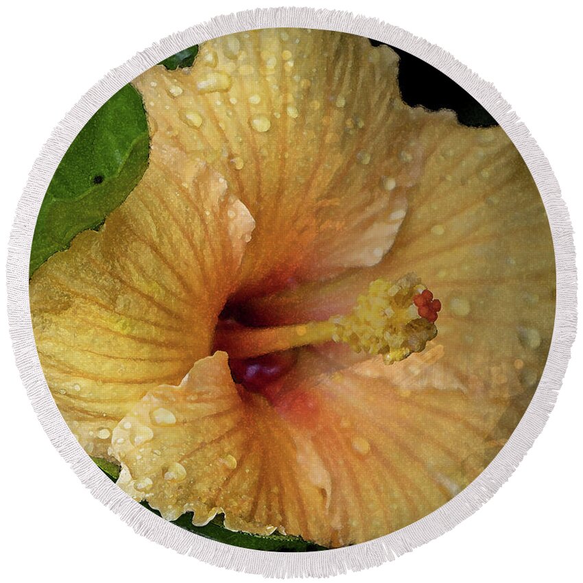 Hibiscus Round Beach Towel featuring the photograph After the Rain by M Kathleen Warren