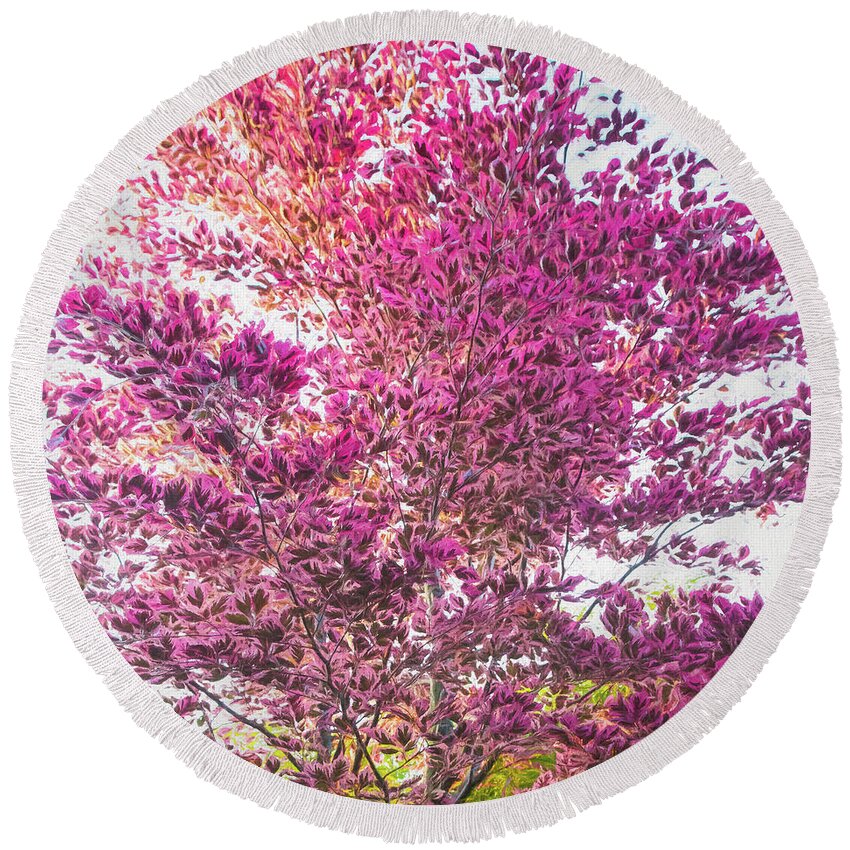 3 Sunnylea Round Beach Towel featuring the photograph All Dressed Up in Spring by Marilyn Cornwell