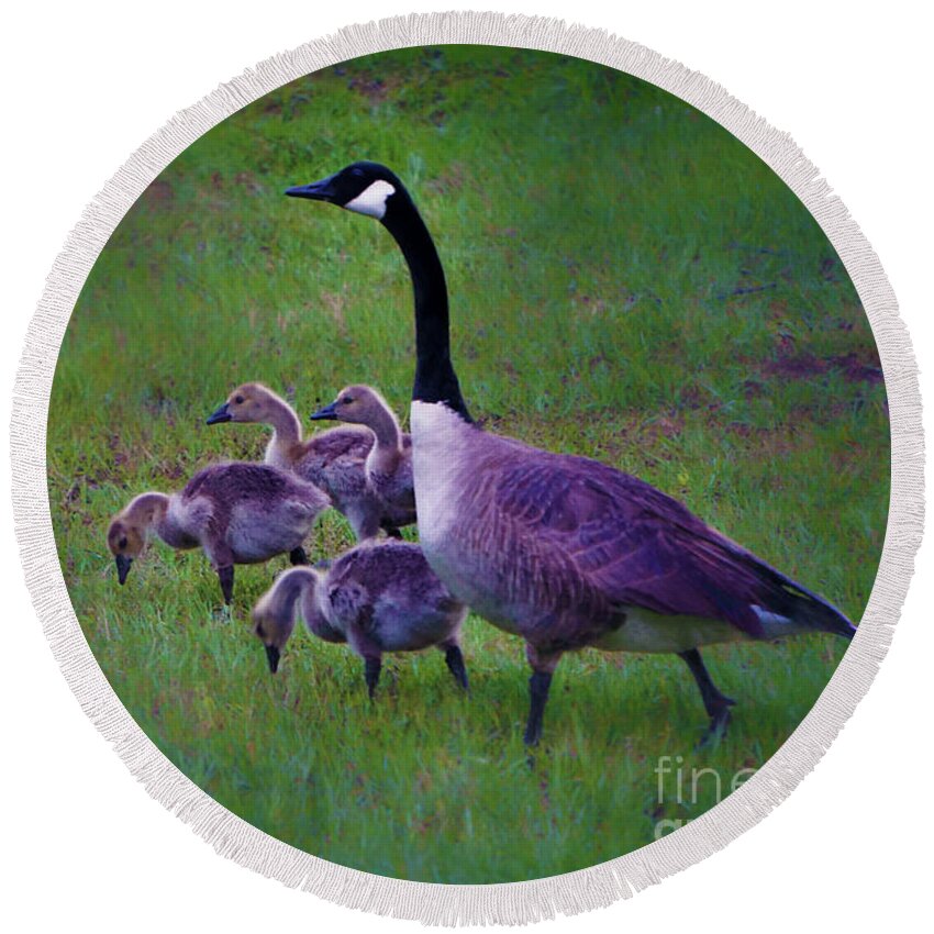 Canada Goose Round Beach Towel featuring the photograph All in the Family by Karen Beasley
