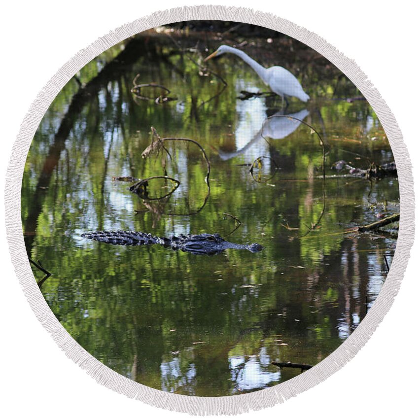 Alligator Round Beach Towel featuring the photograph Alligator and Great White Egret 9878 by Jack Schultz