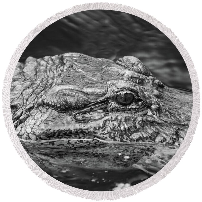 Alligator Round Beach Towel featuring the photograph Alligator Eye by Kimberly Blom-Roemer