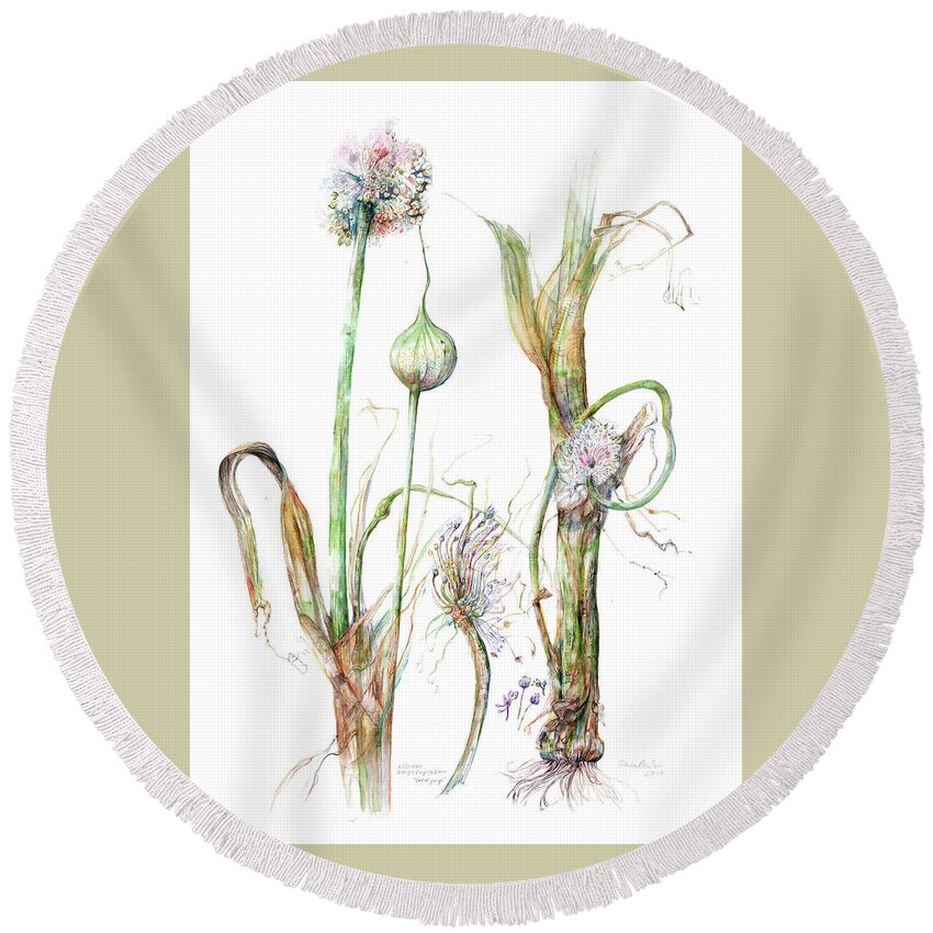 Flowering Leek Round Beach Towel featuring the painting Allium ampeloprasum  by Gloria Newlan