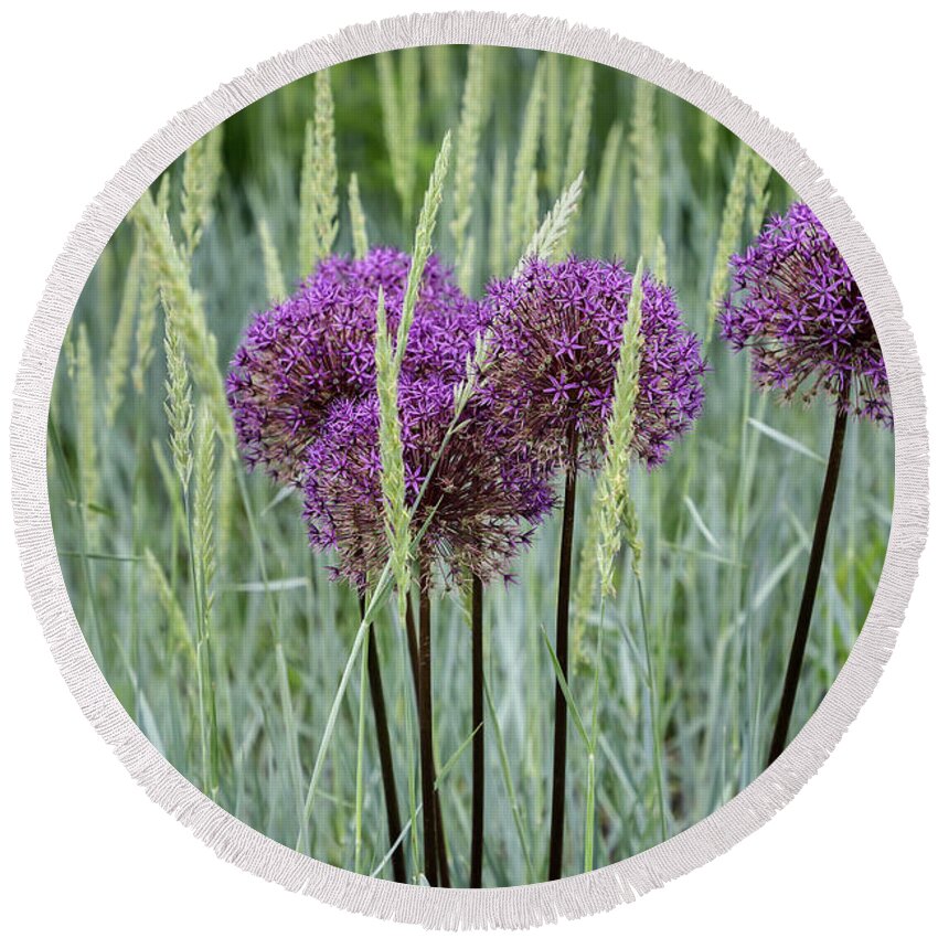 Dow Gardens Round Beach Towel featuring the photograph Allium in the Weeds by Robert Carter