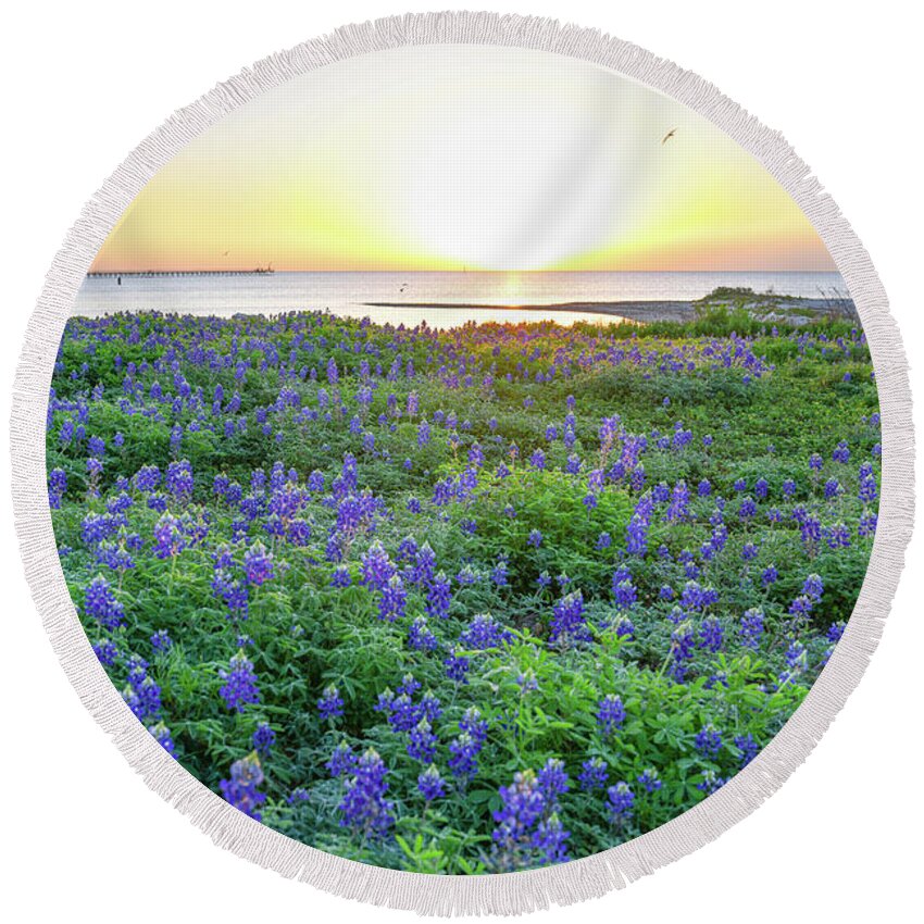 Bluebonnets Round Beach Towel featuring the photograph Almost Spring by Christopher Rice