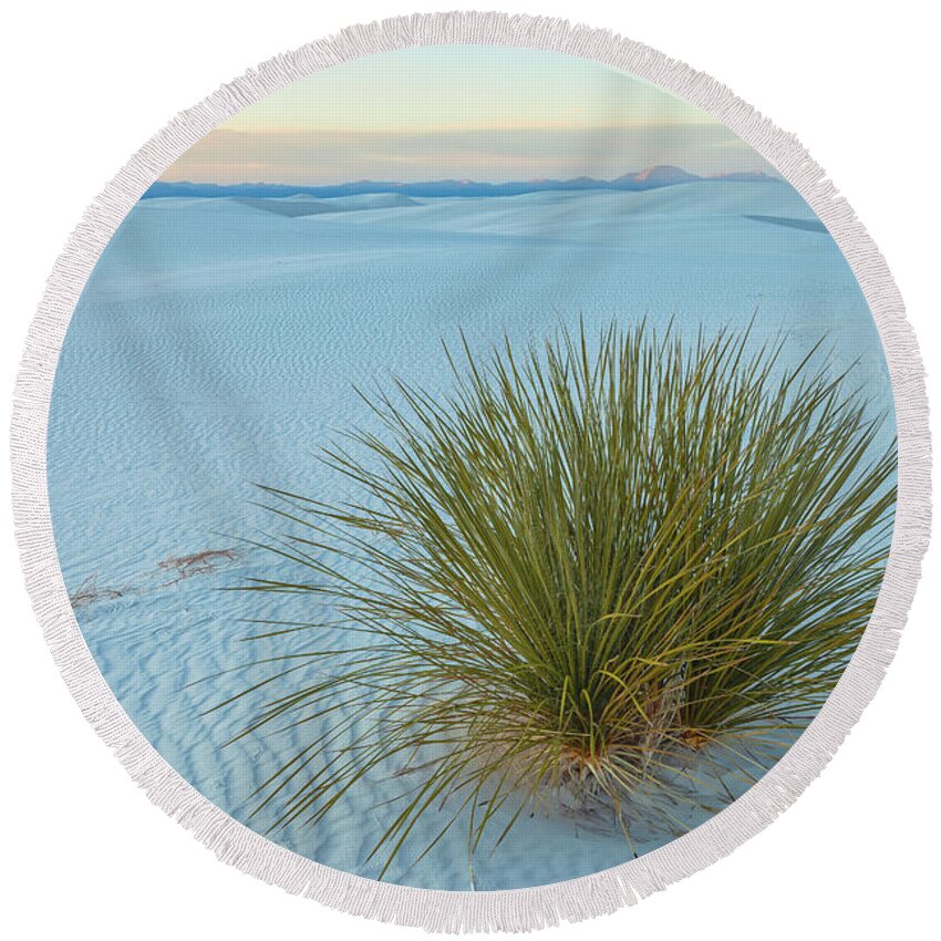 Sand Dunes Round Beach Towel featuring the photograph Alone In Desert by Jonathan Nguyen