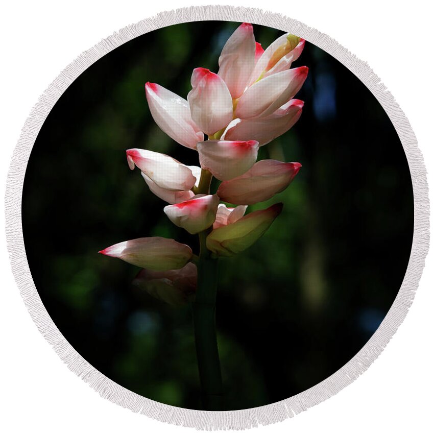 Flower Round Beach Towel featuring the photograph Alpinia Glowing in the Sunlight by Neala McCarten
