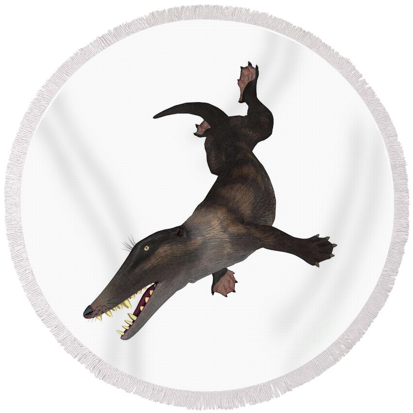 Ambulocetus Round Beach Towel featuring the digital art Ambulocetus Swimming by Corey Ford