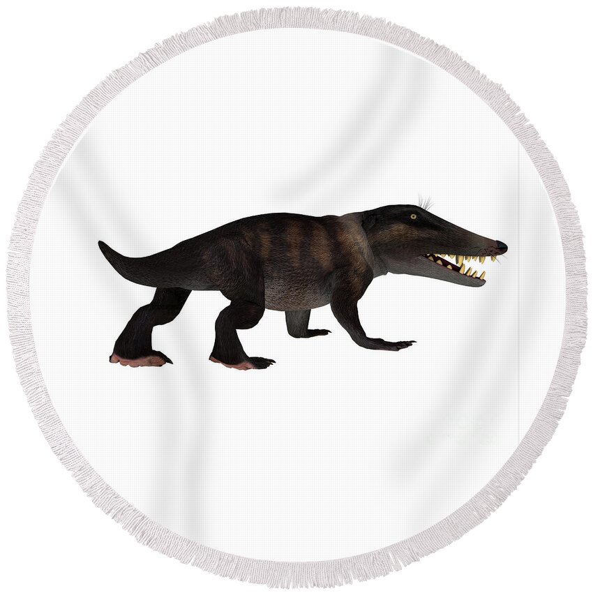 Ambulocetus Round Beach Towel featuring the digital art Ambulocetus Walking Whale by Corey Ford